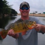 Miami Peacock Bass