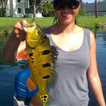 flpeacockbass.com flpeacockbass.com