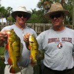 Florida Peacock GUIDE