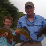 flpeacockbass.com