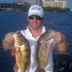 Peacock Bass Fishing Miami Bass Online