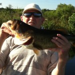 Everglades Bass Fishing Guide Bass Online