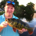Miami Peacock Bass Bass Online