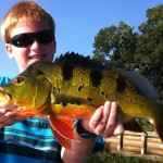 Bass Online
