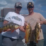 Bass Online