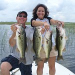 Lake Okeechobee Bass Fishing Bass Online