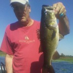 Lake Toho Guide Bass Online