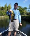 Miami Peacock Bass Bass Online