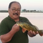 Miami Peacock Bass Bass Online