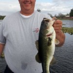 Lake Toho bass fishing Bass Online