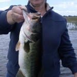 Lake Okeechobee Bass Guide Bass Online