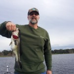Bass Online