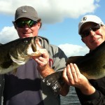 Bass Online