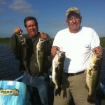 Bass Fishing Bass Online