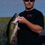 Bass Online Pro-Team