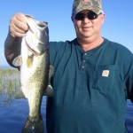 Bass Online Pro-Team