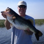 Bass Online Pro-TEAM
