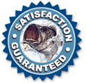 5 Star Fishing Guarantee