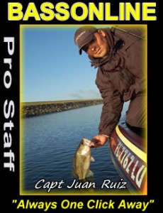 South Florida Fishing Guide