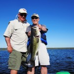 Bass Online Pro-Team