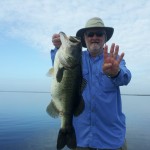 Bass Online Pro-Team