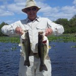 Bass Online Pro Team