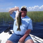 Bass Online Pro Team