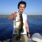 Bass Online Pro-Team