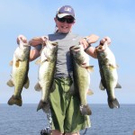 Bass Online Pro-Team