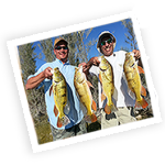 Peacock Bass Fishing trips - Florida Fishing