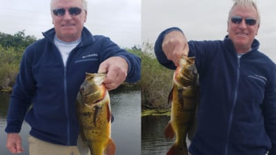 February Everglades Bass Fishing Charters in South Florida 5 February Everglades Bass Fishing 3