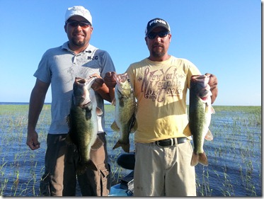 20120918_090659 rod