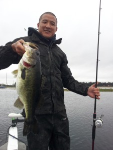 Trophy bass on Lake Toho