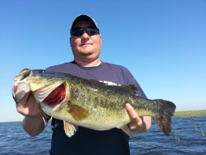 steve panas 3.6 (2)