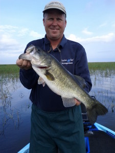 Phil Mclellan (3)