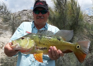 Bass Online Pro Team guide Roger